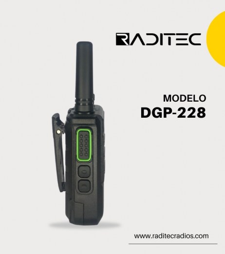 DGP-228 (3)